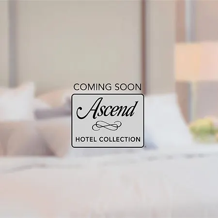 Hotel Riviera 4*